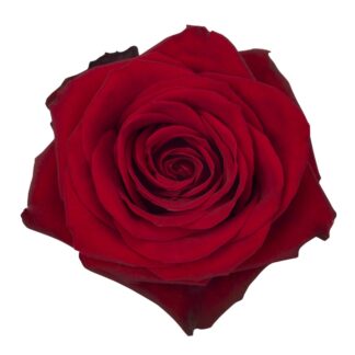 Add 3 Roses