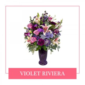 Violet Riviera