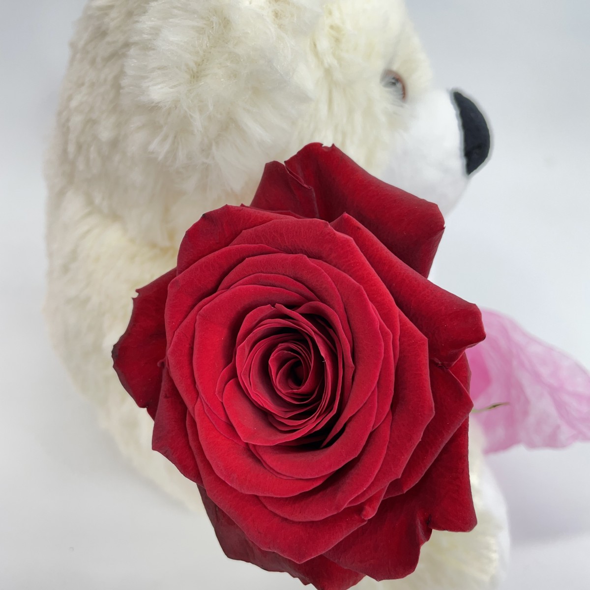 Beary Sweet Bundle - Image 2