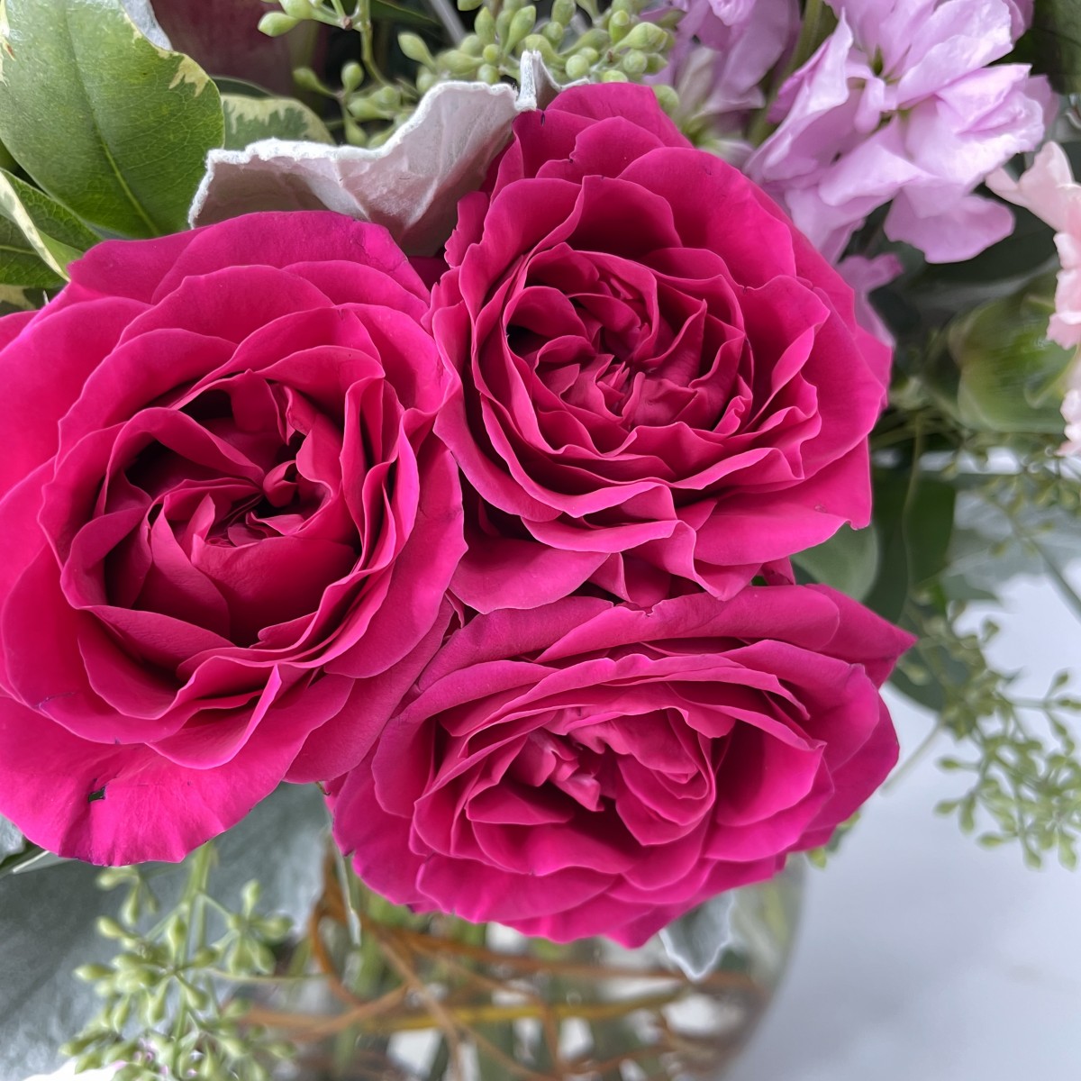 Pink Beauty - Image 2