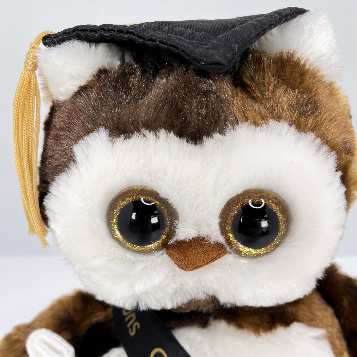 Wisdom Graduation Owl - Image 2