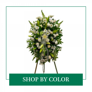 Shop by Color