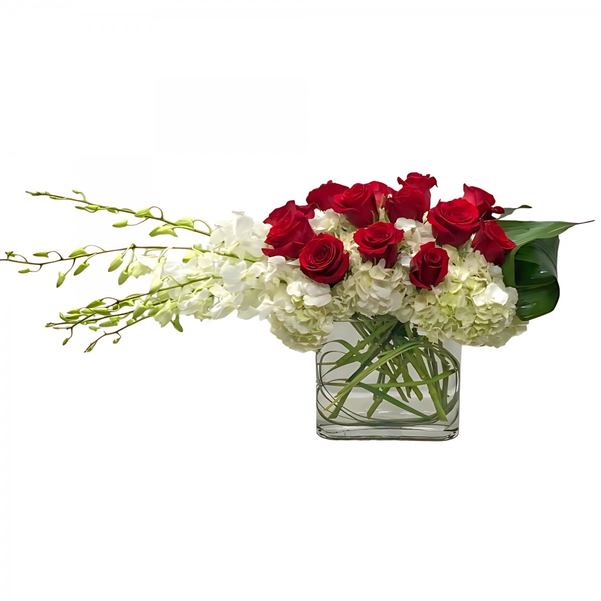 Divine Luxury - Image 2