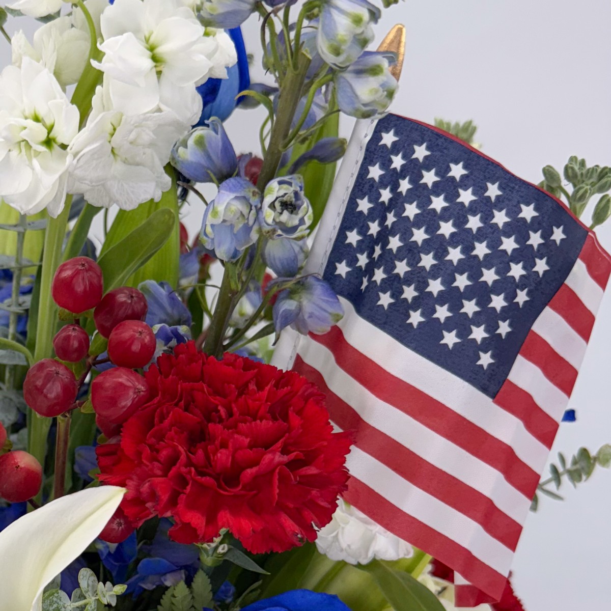 Lady Liberty - Image 2
