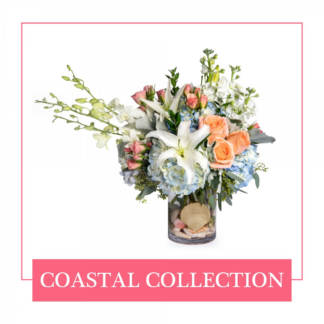 Coastal Inspired