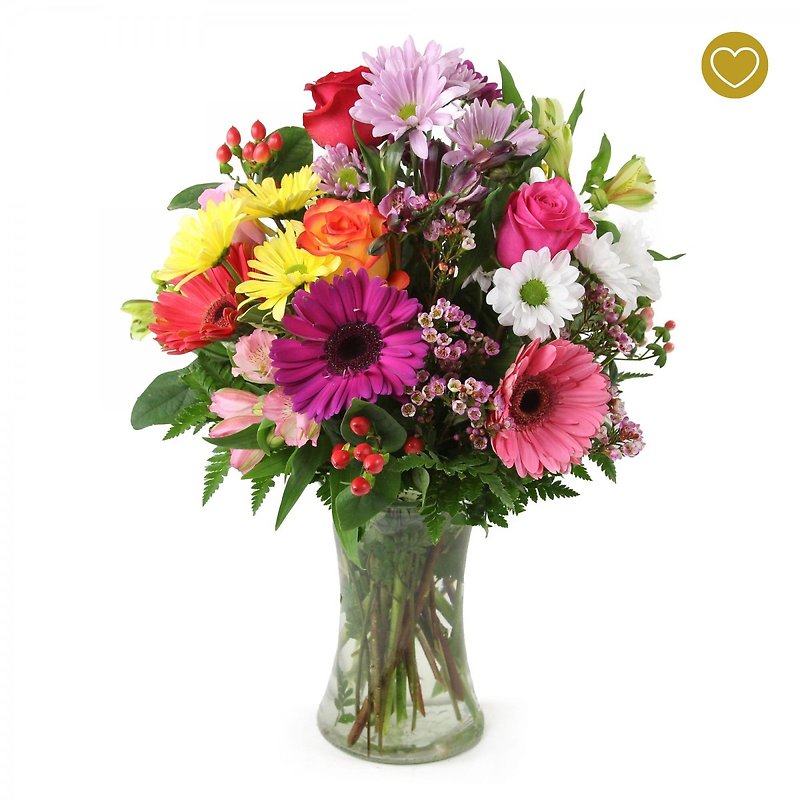 Thank You Package - Image 2