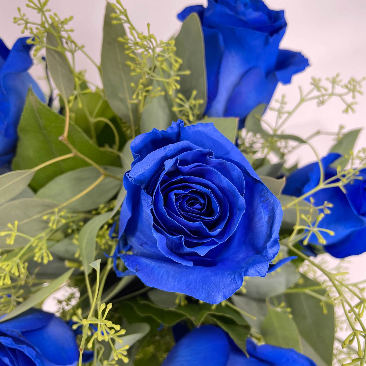 1/2 Dozen Coastal Roses - Image 2
