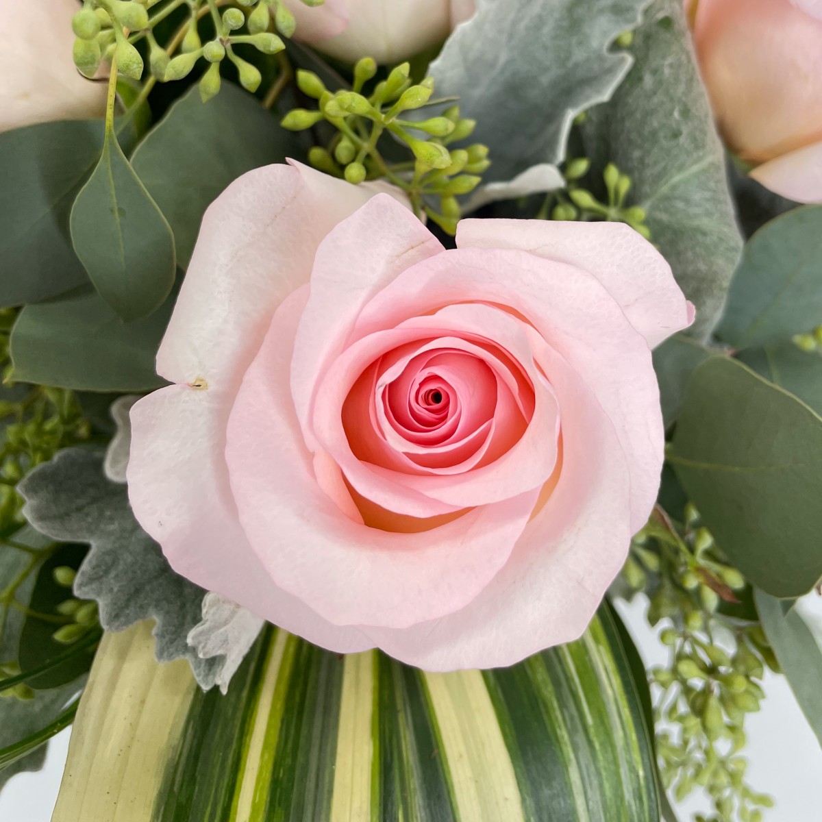 Pink Traditions - Image 2