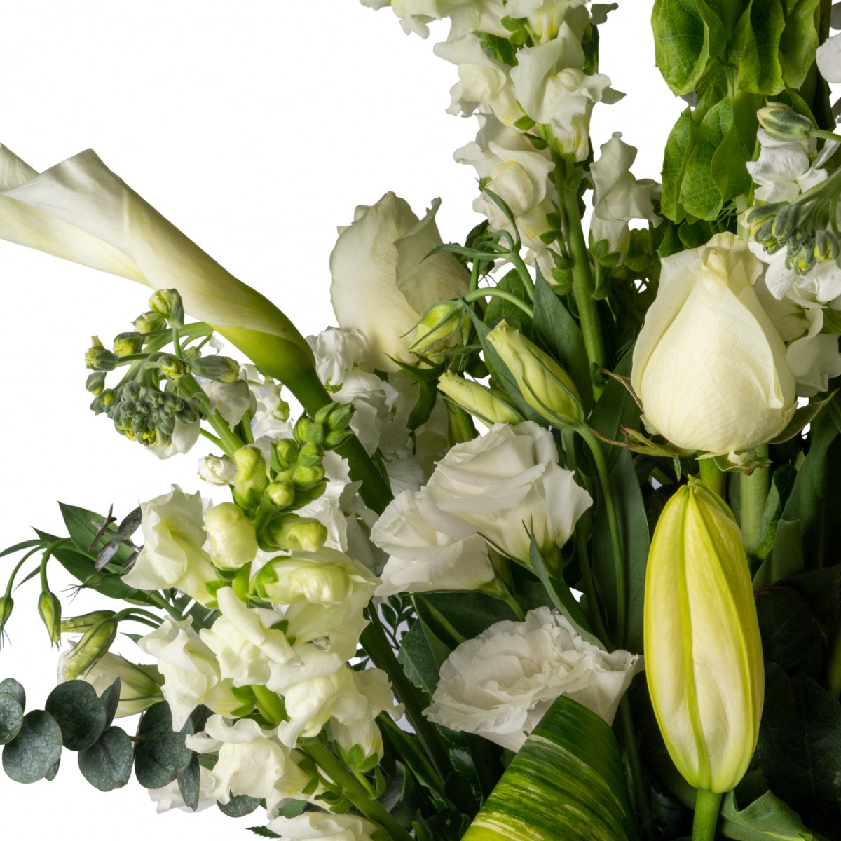 Everlasting Love - Image 2
