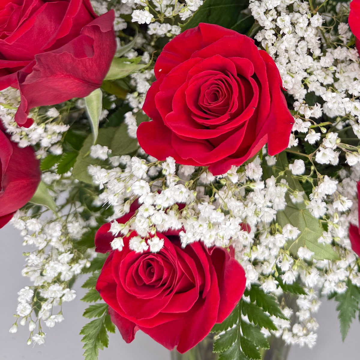 3 Dozen Roses - Image 2