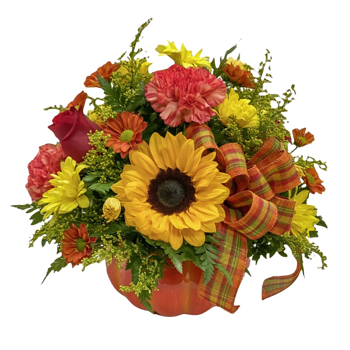 Hello Pumpkin Package - Image 3
