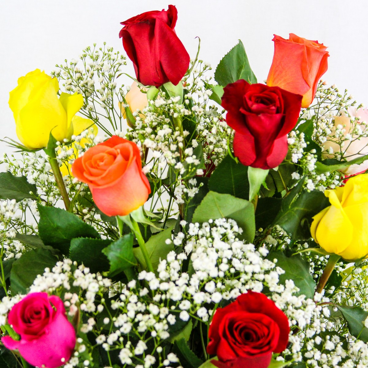 1 Dozen Roses Mixed - Image 2