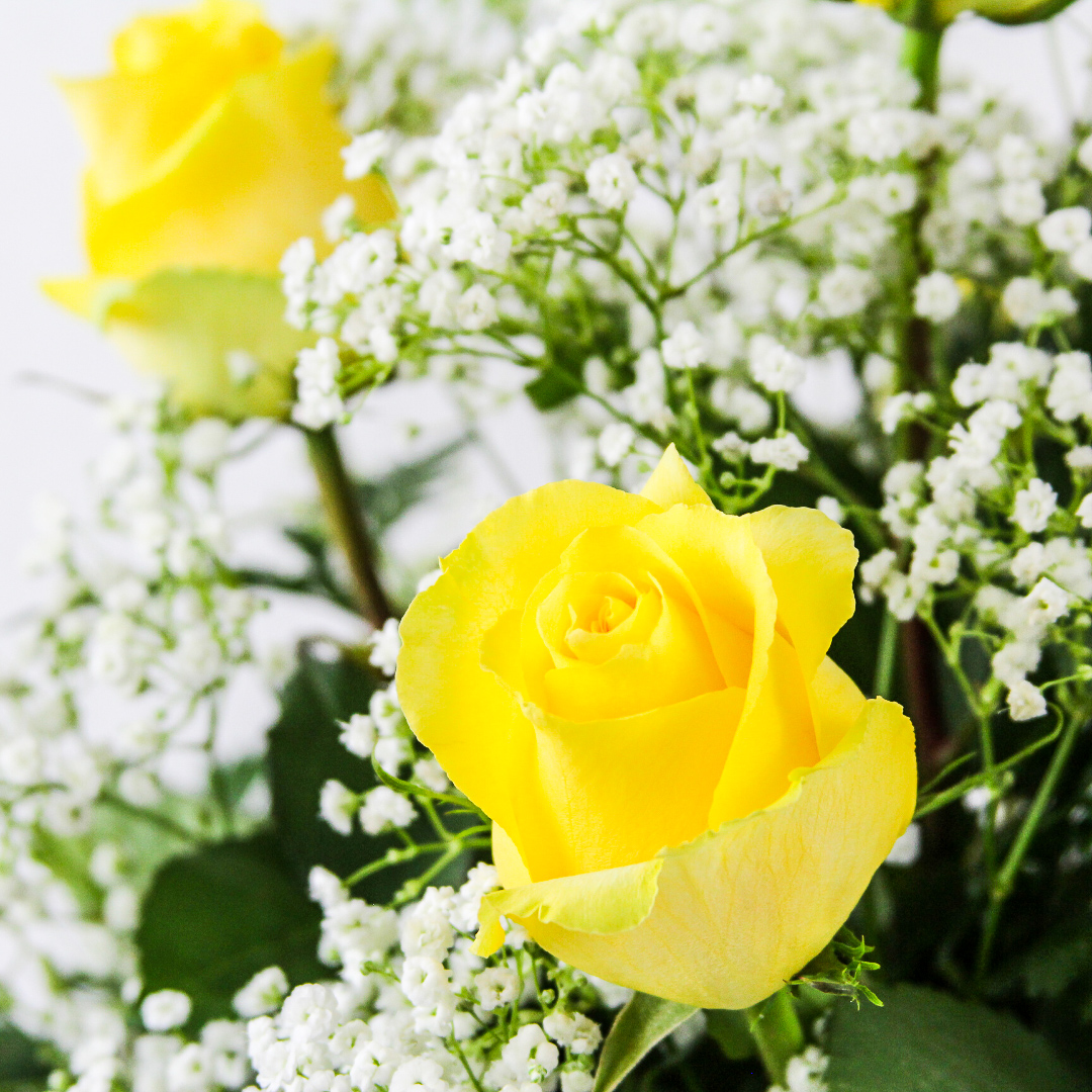 1 Dozen Roses Yellow - Image 2