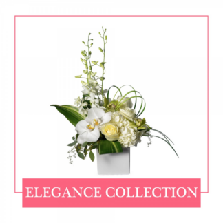 Elegance Collection