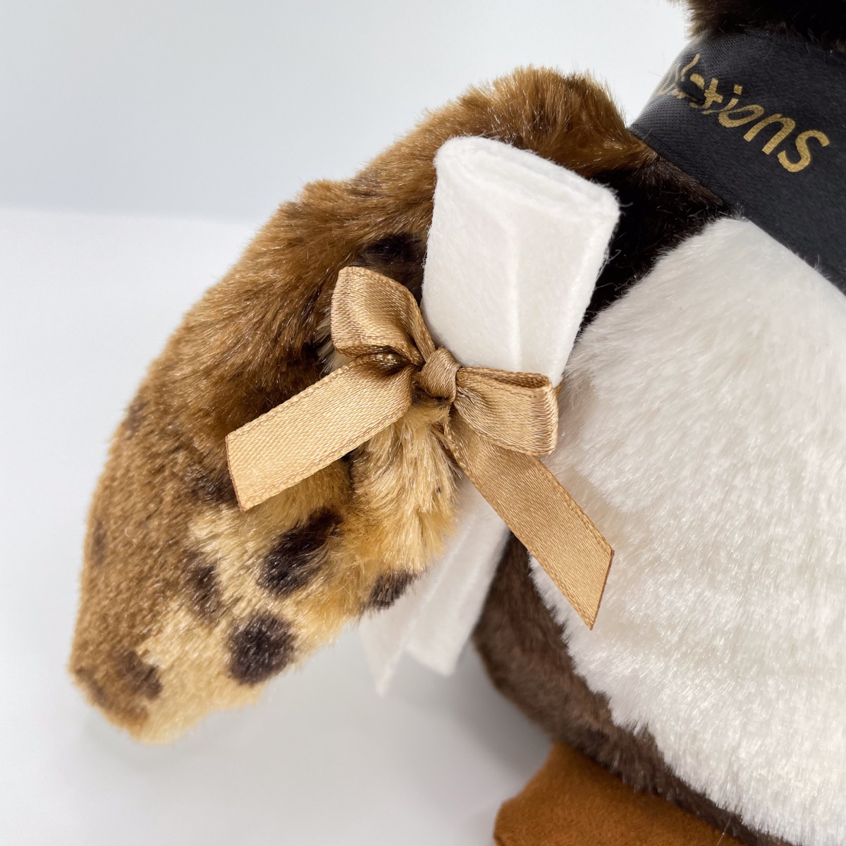 Wisdom Graduation Owl - Image 3