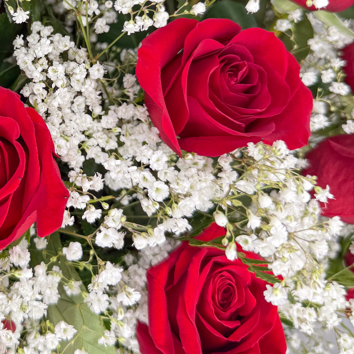 3 Dozen Roses Red - Image 3