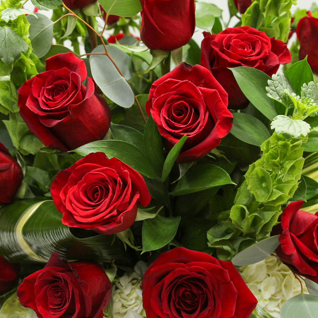 Rose Extraordinaire - Image 2