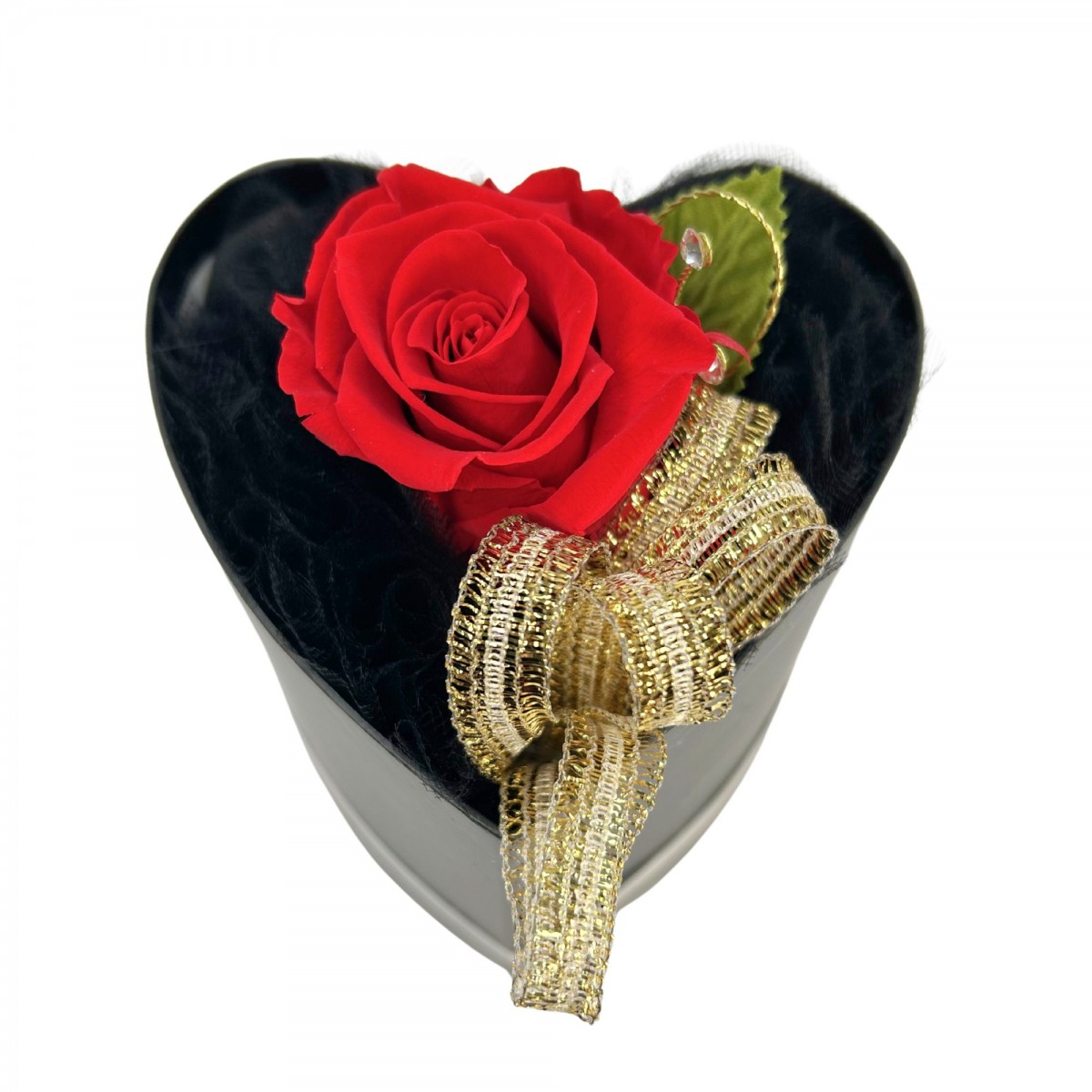 Forever Rose