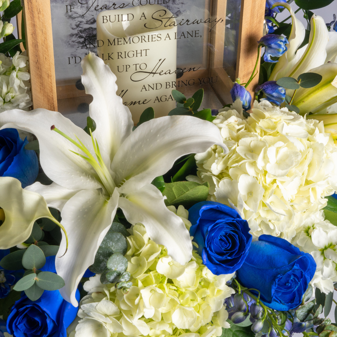 Blue Without You Tribute - Image 3