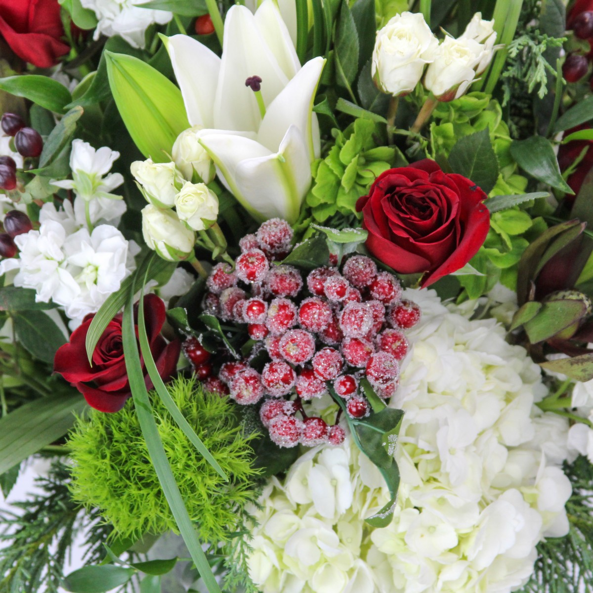 Wish You a Merry Christmas - Image 3