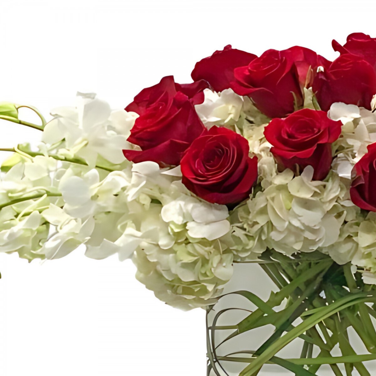 Divine Luxury - Image 3