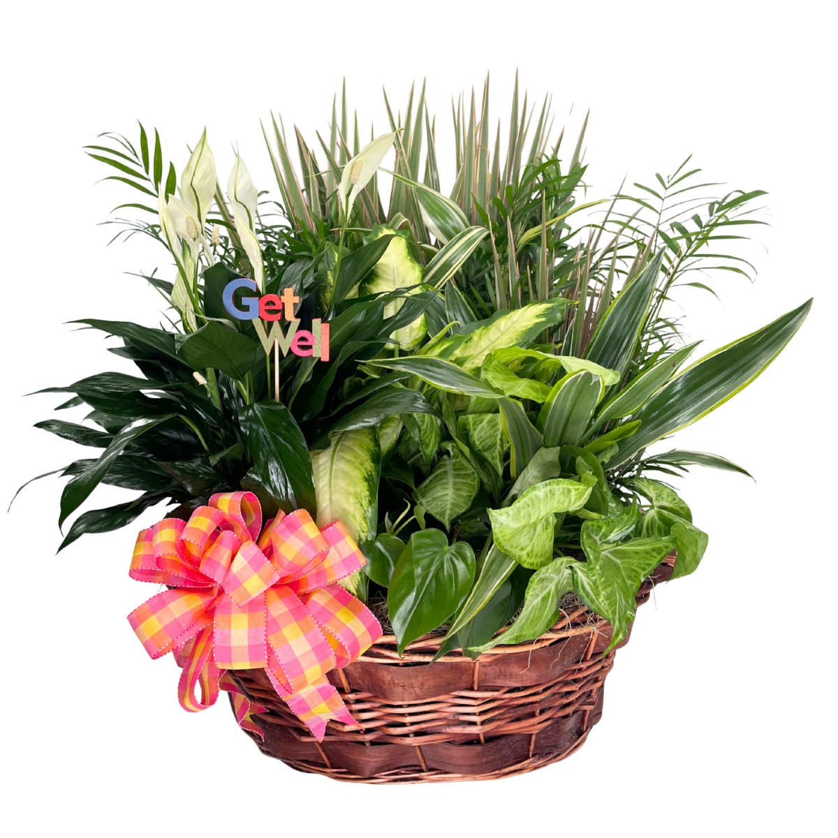 Plant & Positivity Bundle - Image 2