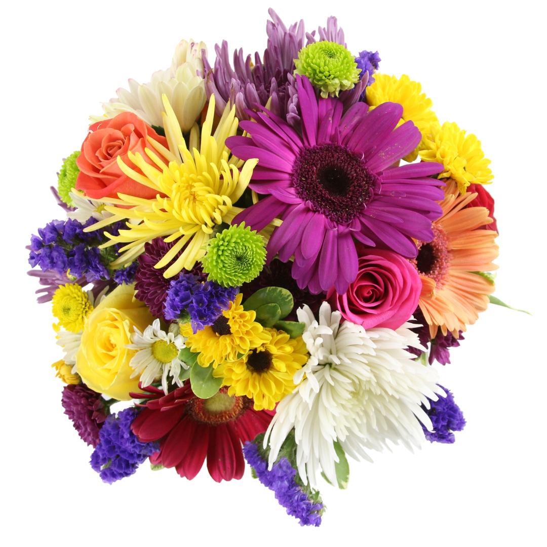 Berries n Bloom - Image 3