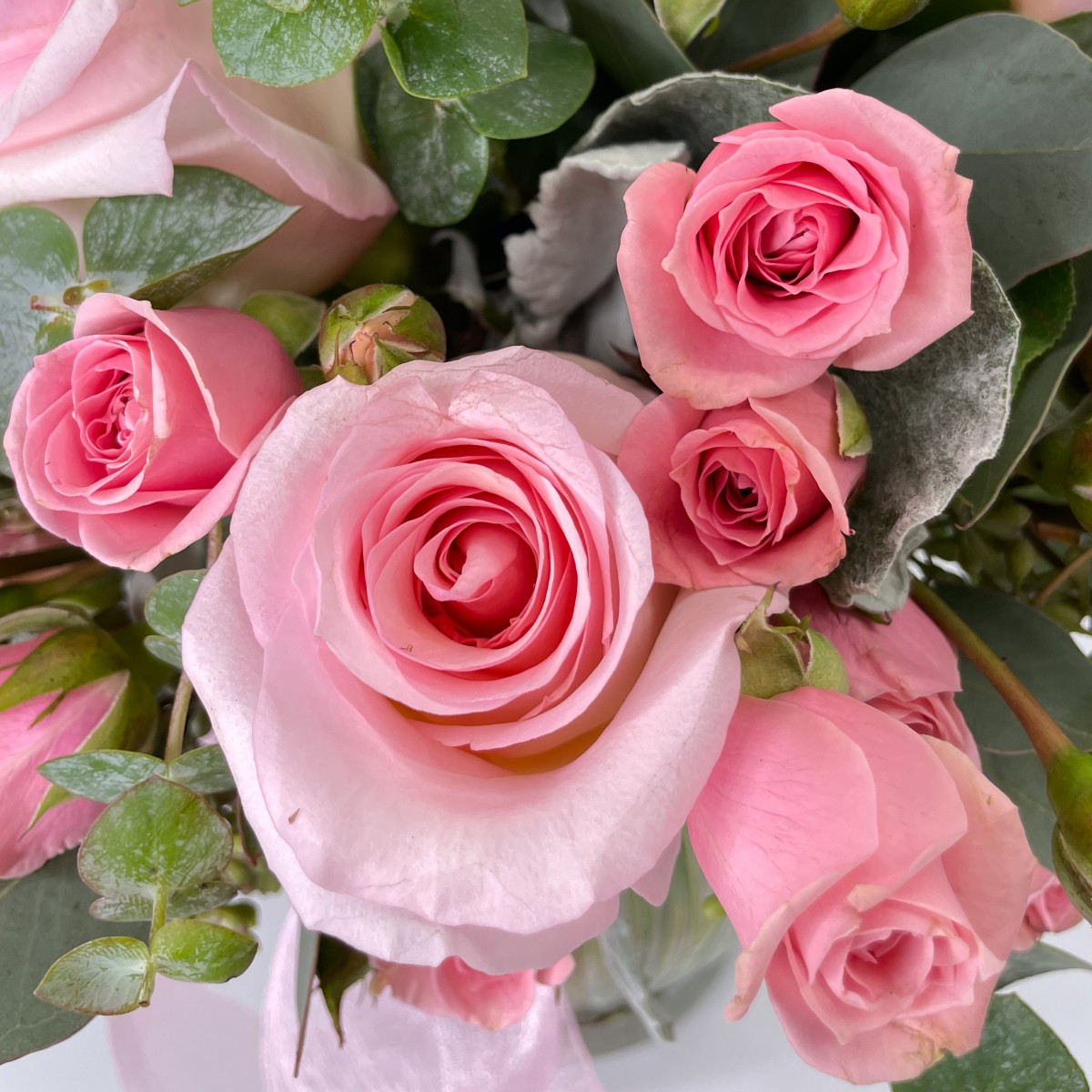 Pink-N-Powerful - Image 2