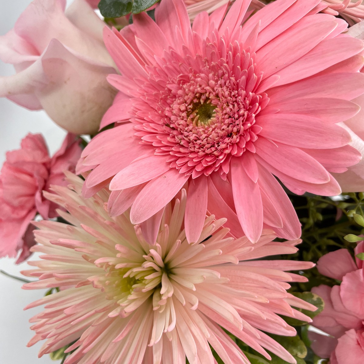 Think Pink - Image 2