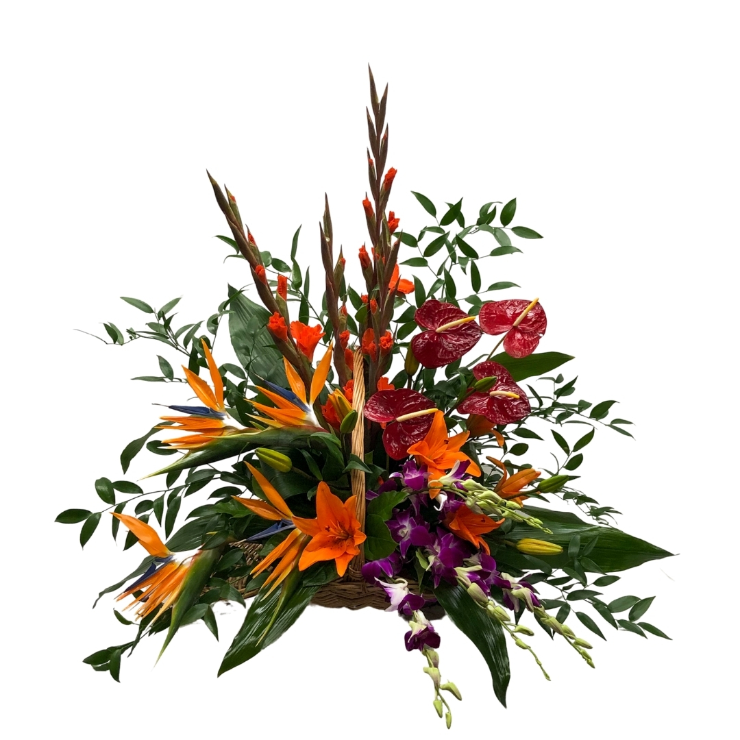 Tropical 3 Piece Set - Image 3