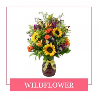 Wildflower