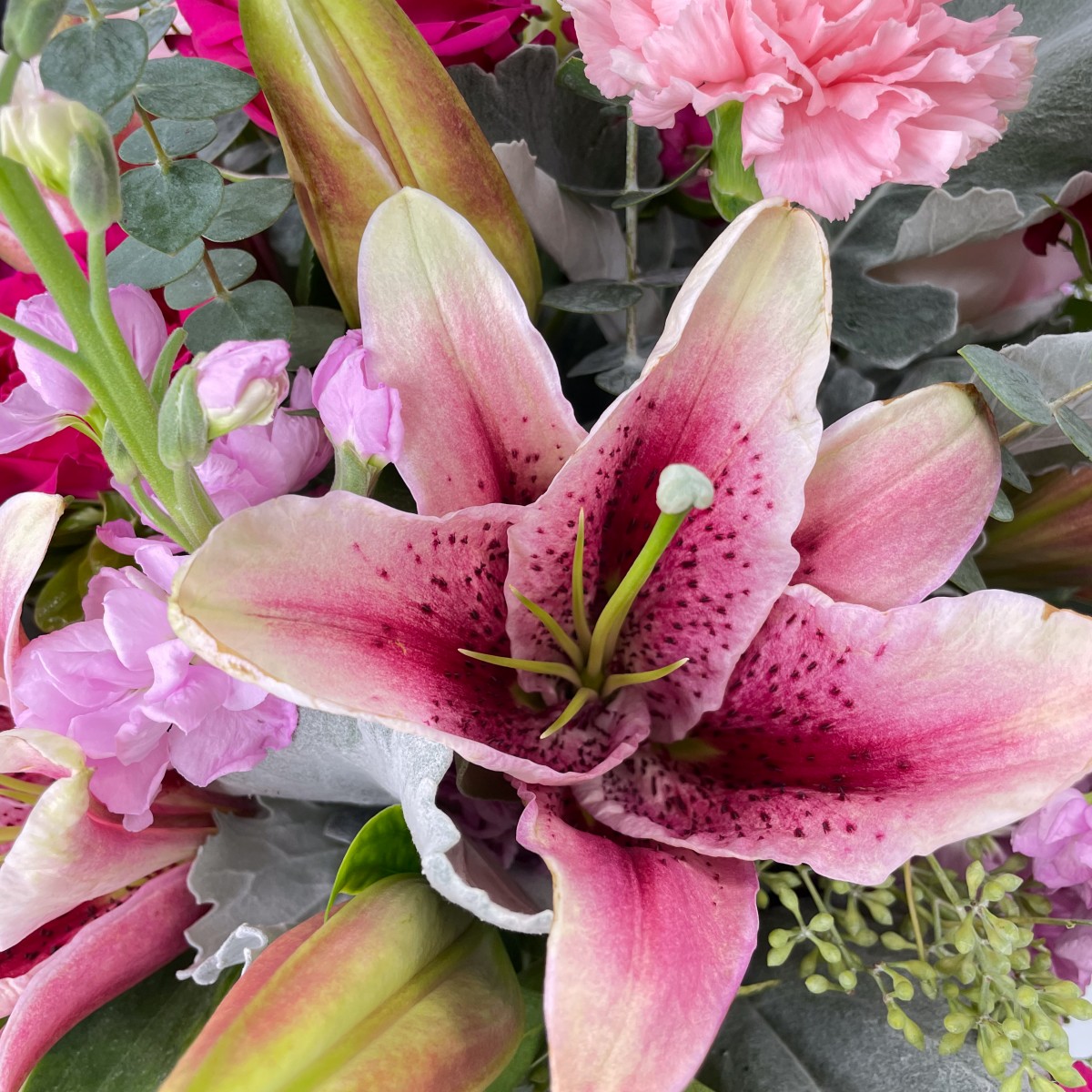 Pink Beauty - Image 3