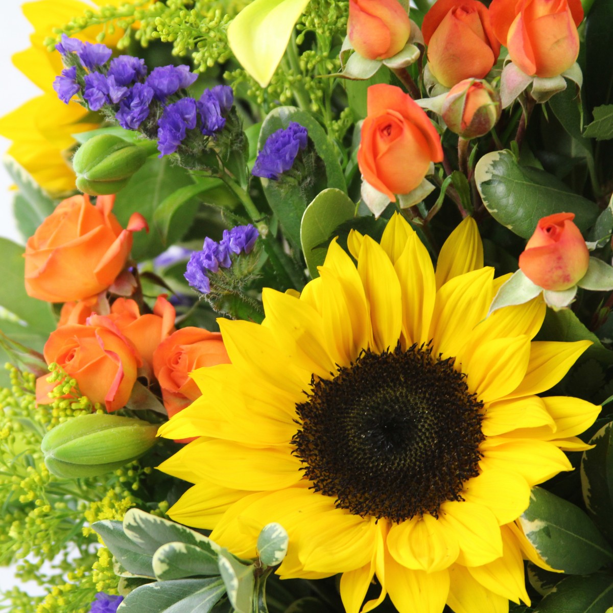 My Sunshine - Image 2