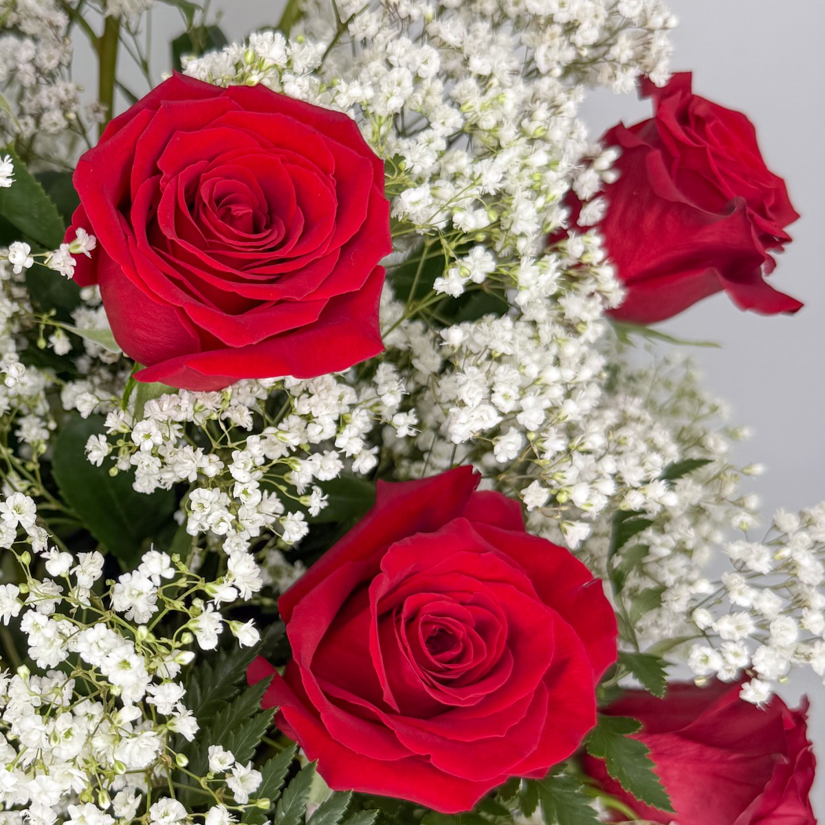 1 Dozen Roses - Image 2