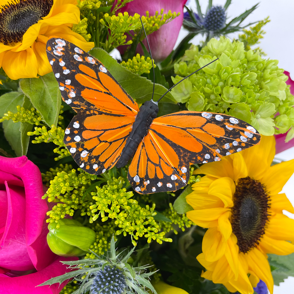 Celebrate You - Image 3