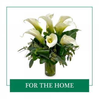 For the Home