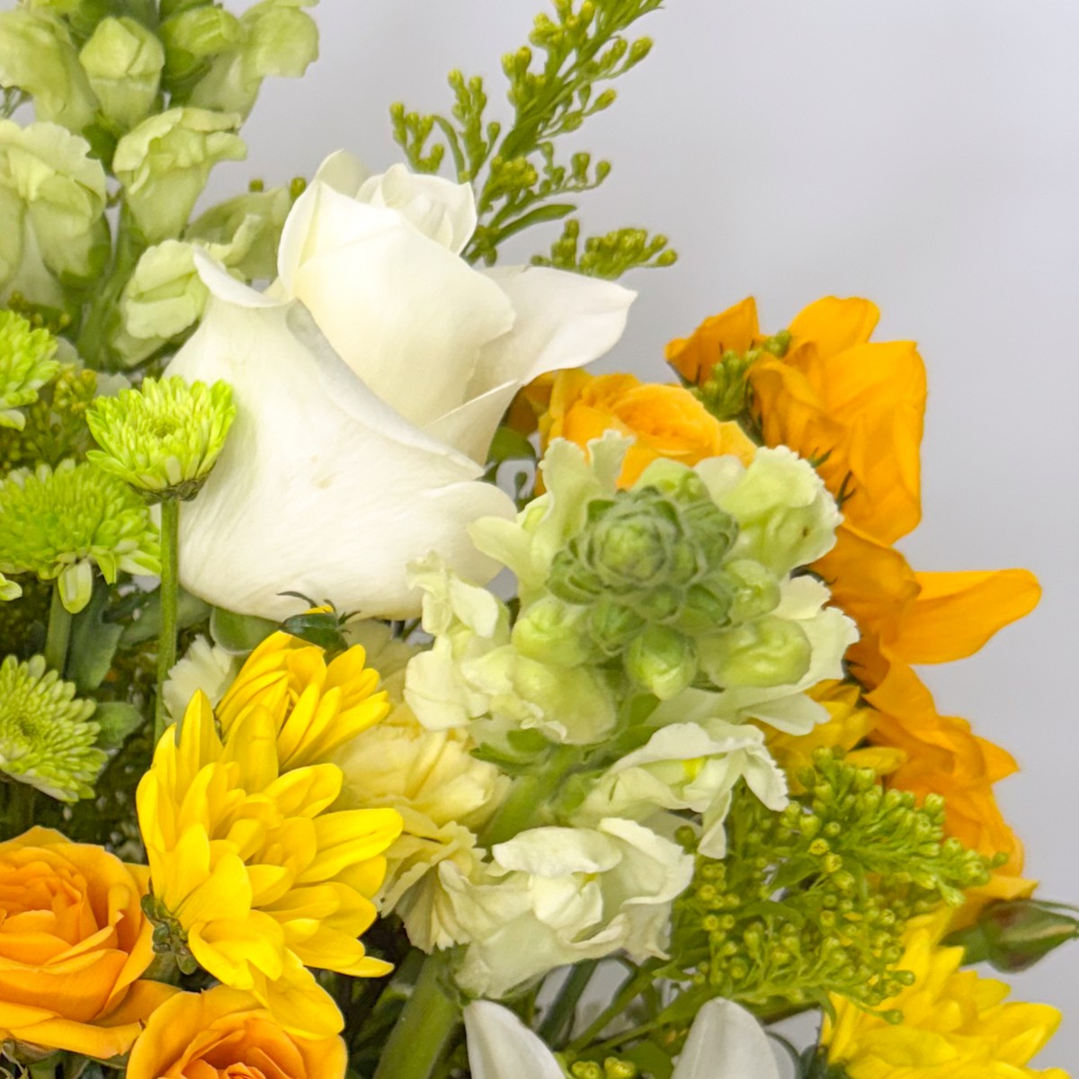 Citrus Bliss - Image 4