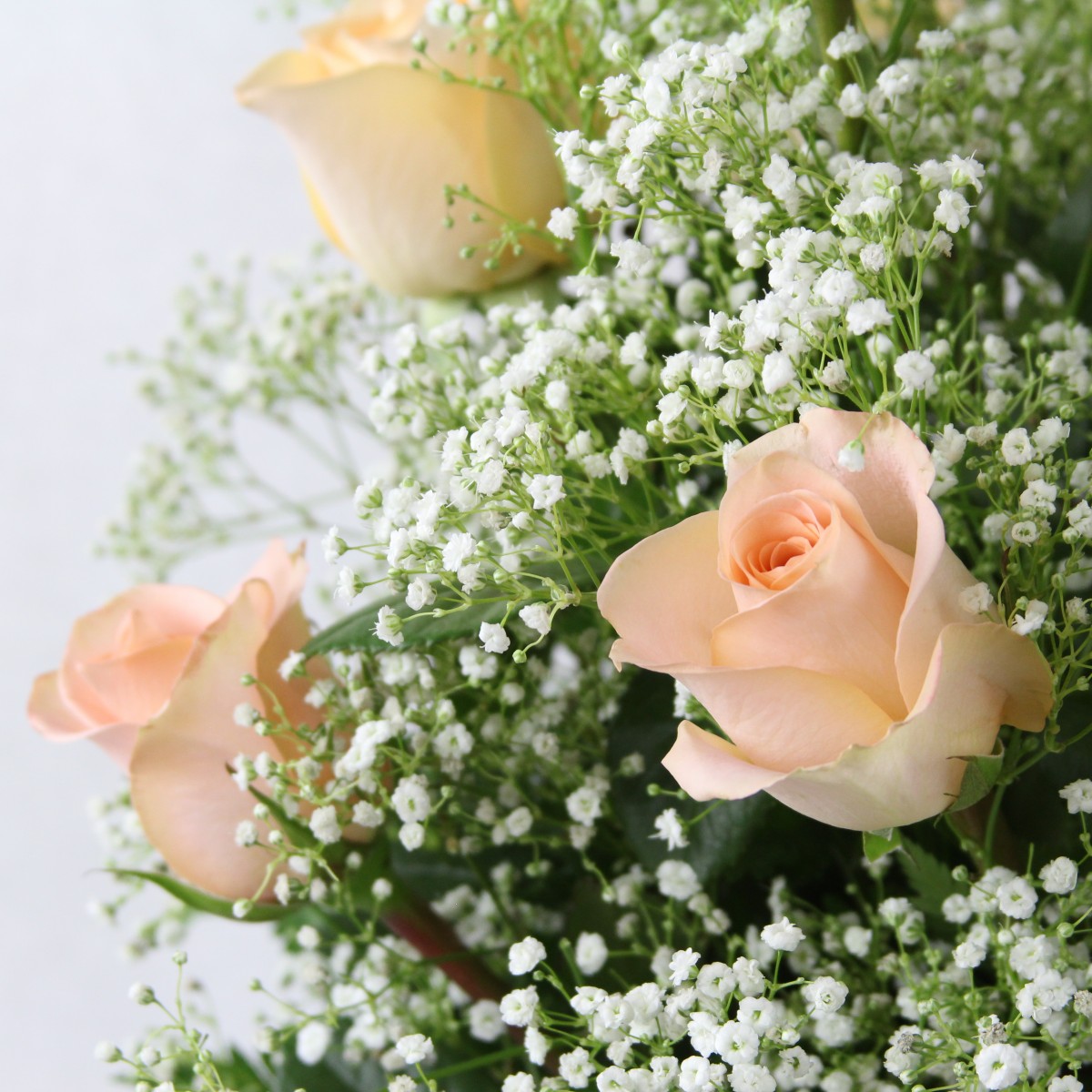 3 Dozen Roses Peach - Image 3