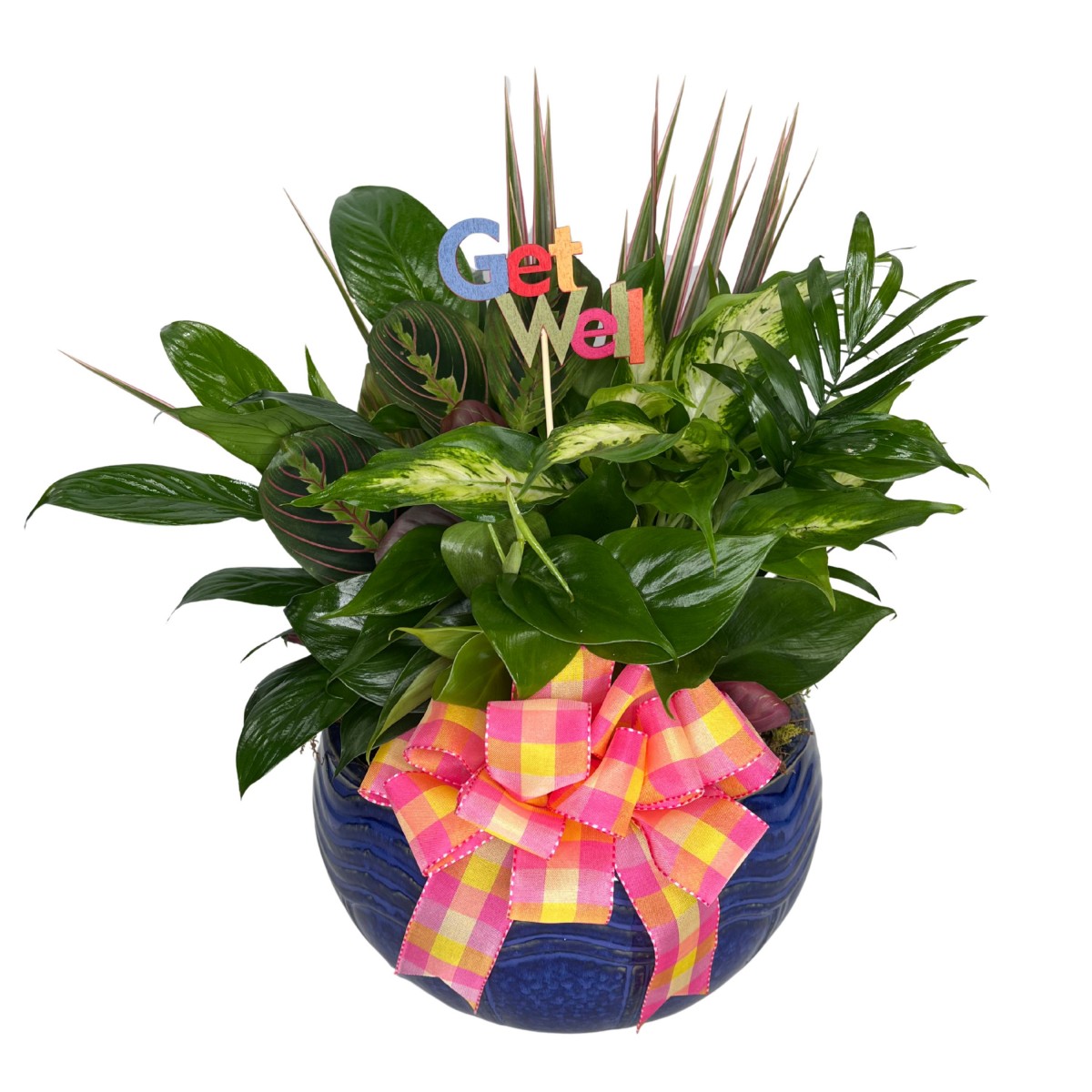 Wellness & Wishes Package - Image 3