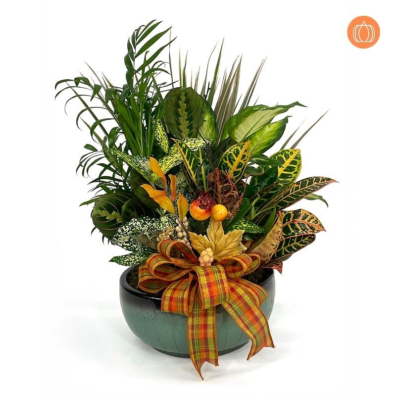 Thankful Treasures Package - Image 3