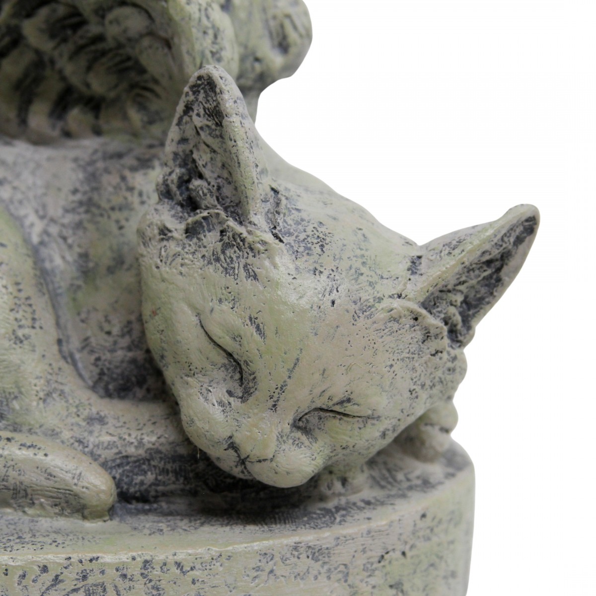 Sympathy Cat - Image 2