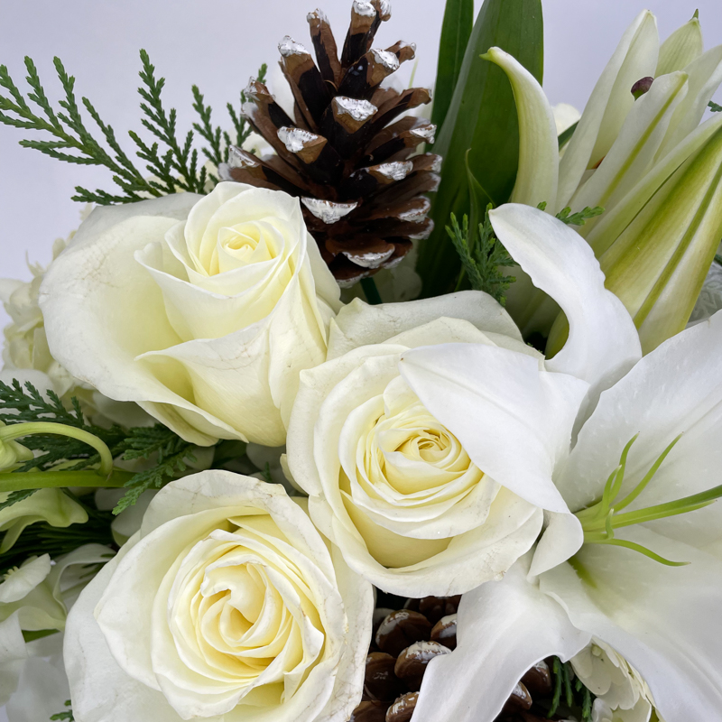 Winter's Solace - Image 3