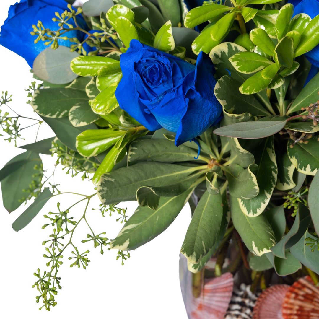 1 Dozen Coastal Roses - Image 2