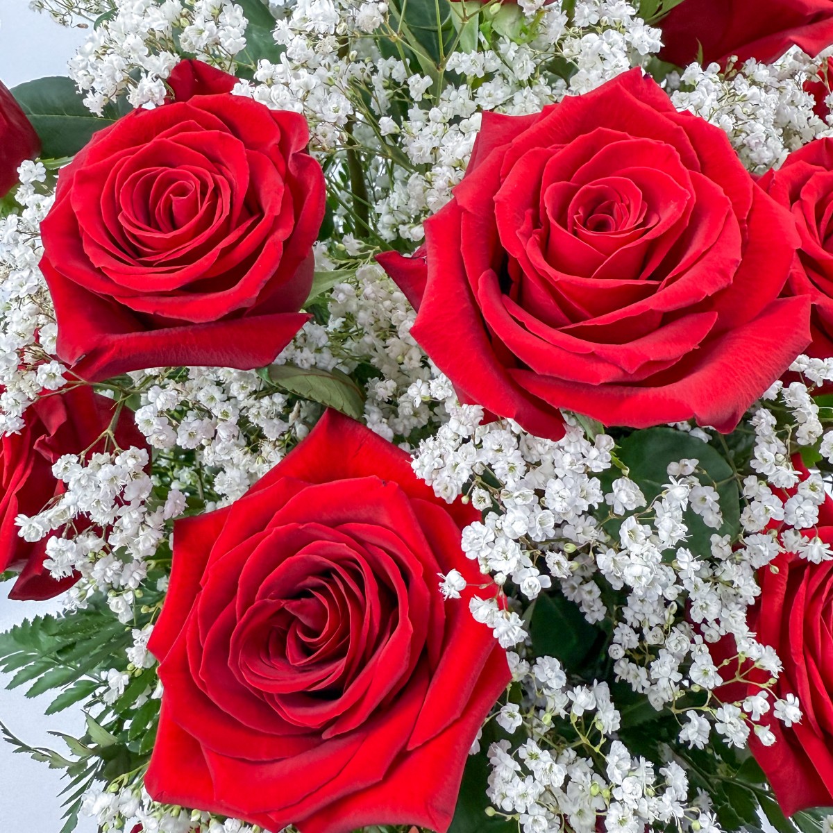 2 Dozen Roses - Image 2