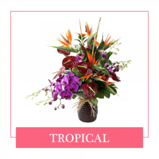 Tropical