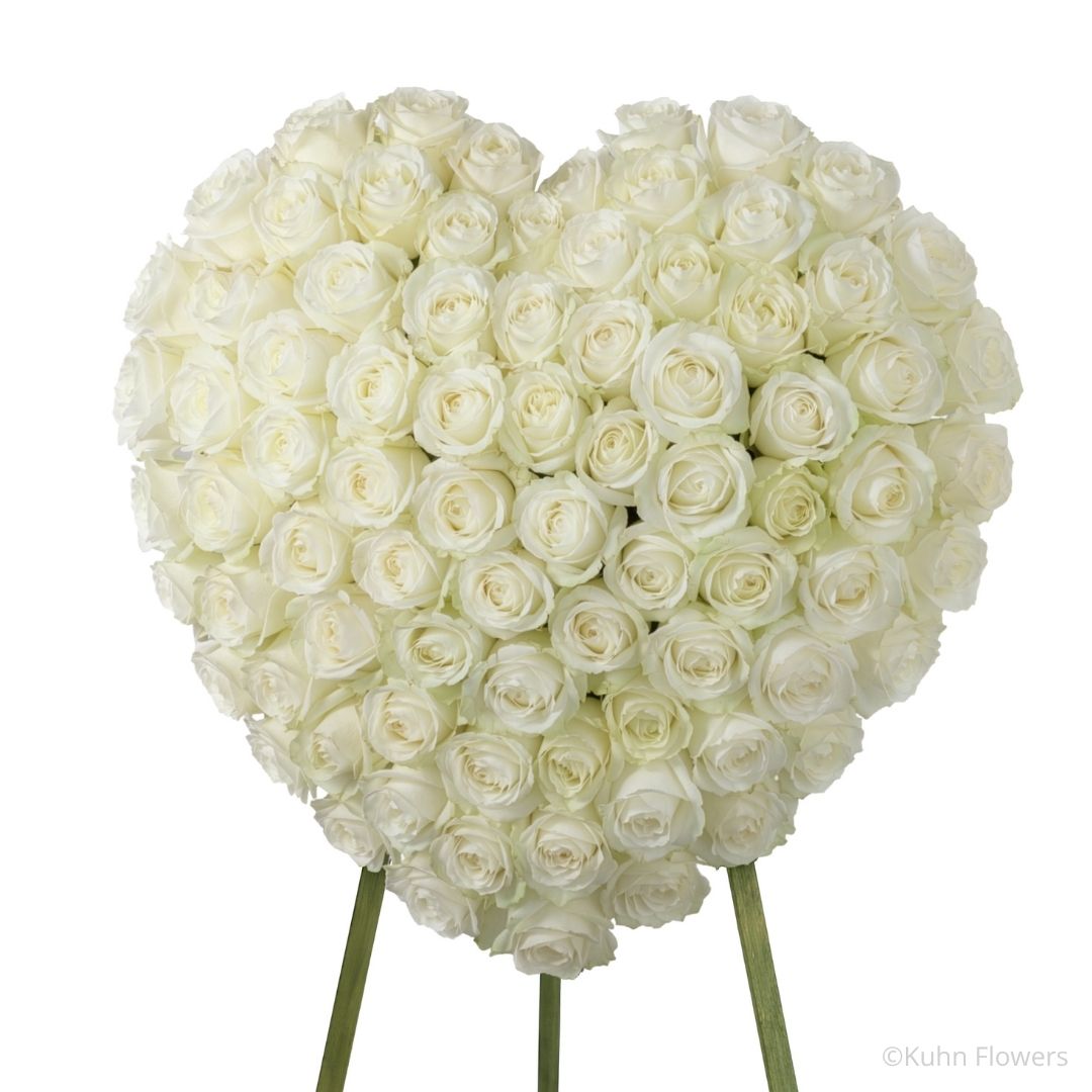 Elegant Remembrance