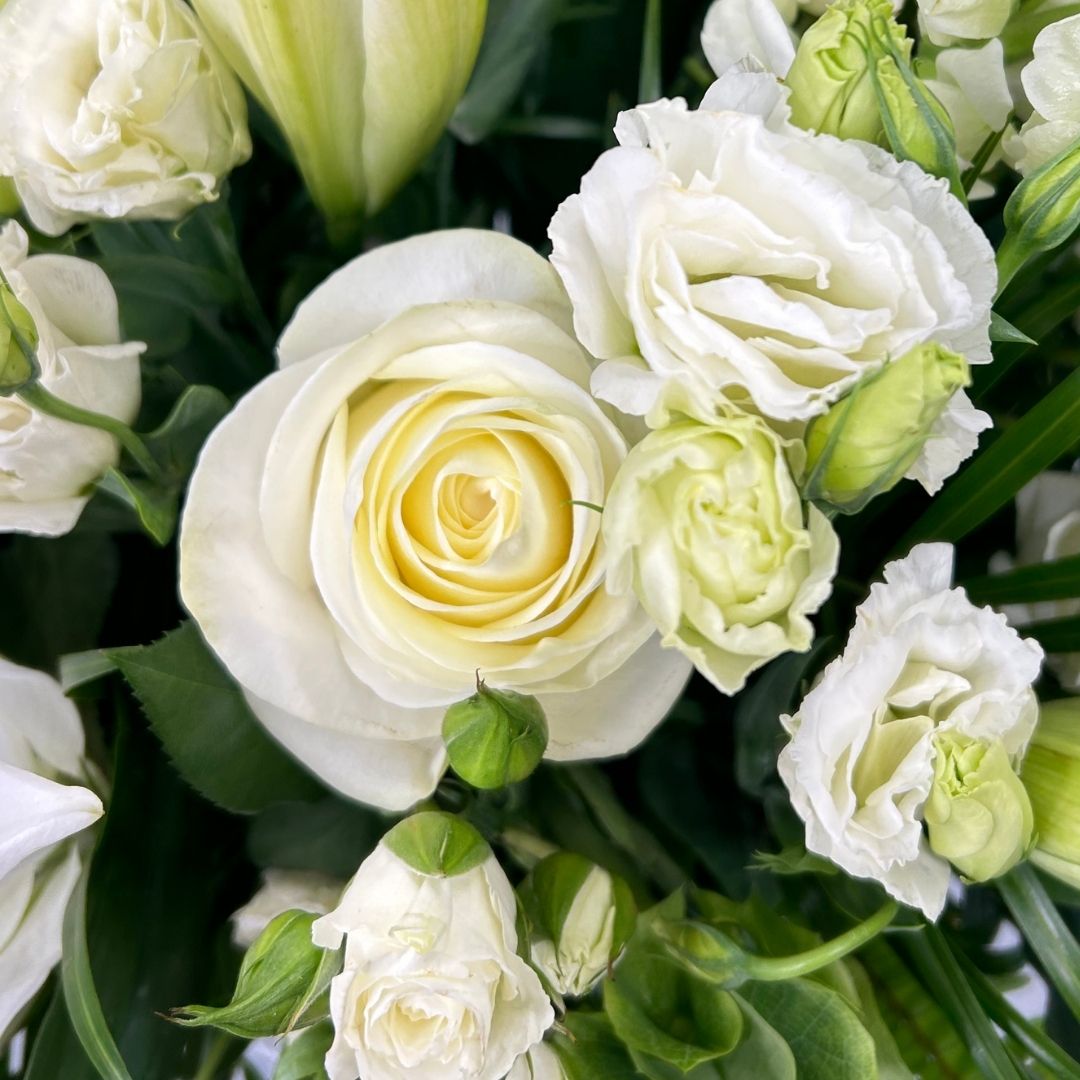 Morning Stars Arrangement - Image 3