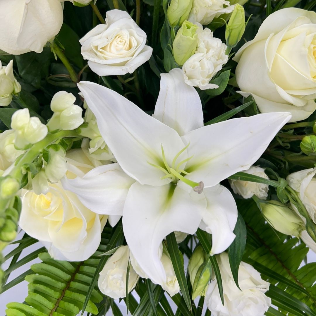 Morning Stars Arrangement - Image 2