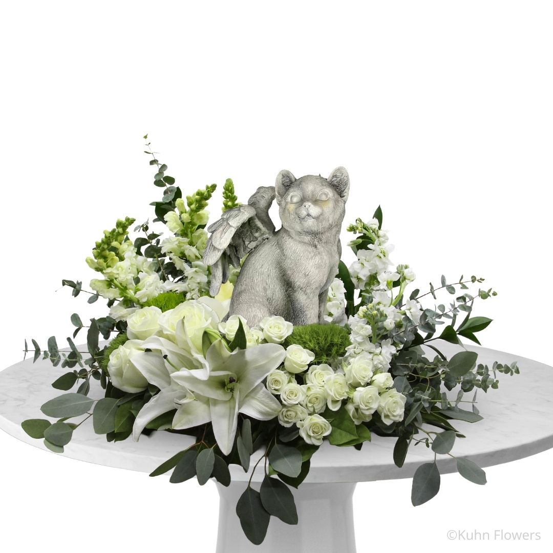 Resting at Rainbow Bridge Tribute