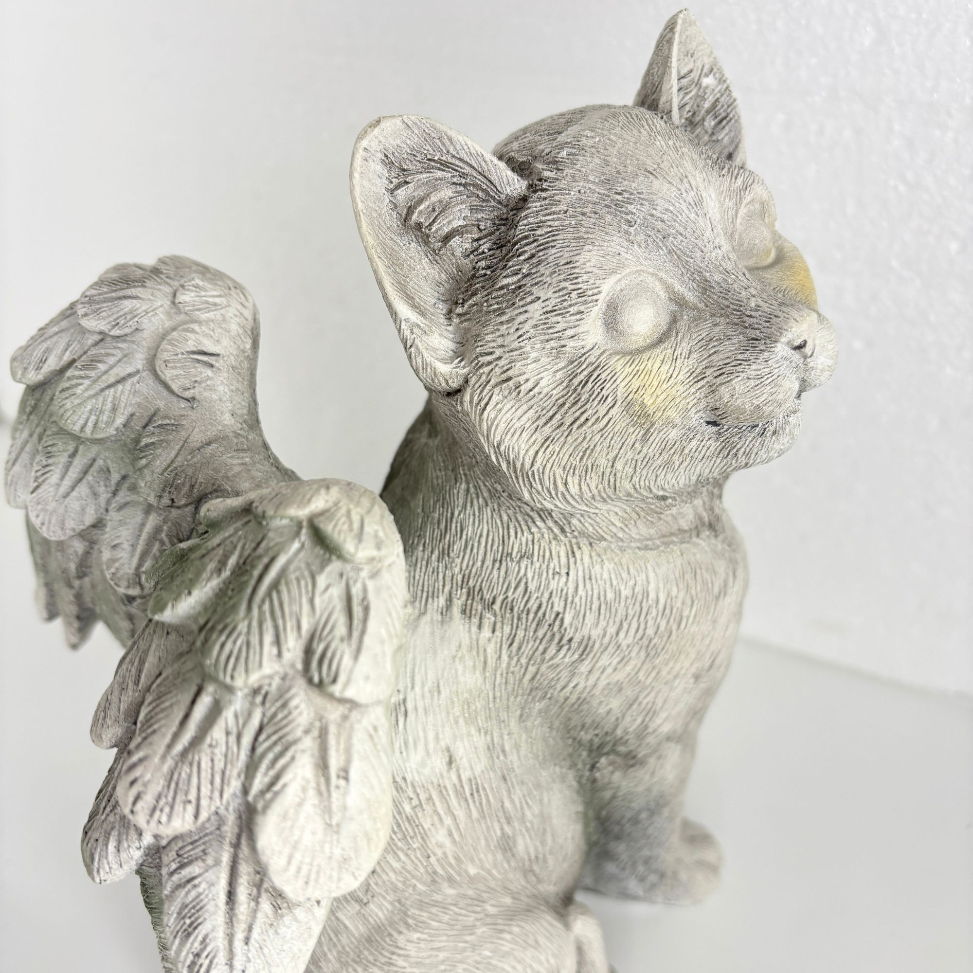 Sympathy Cat - Image 3